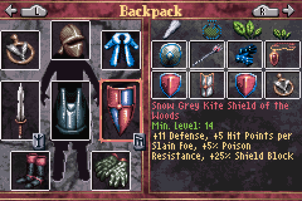 Eowyn's equps in The Return of the King