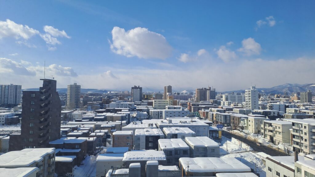 A view of Sapporo from high up